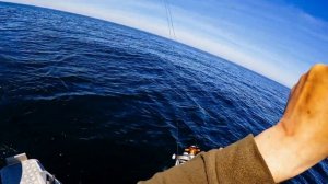 Рыбалка на  лосося в Балтийском море .Весна 2022.