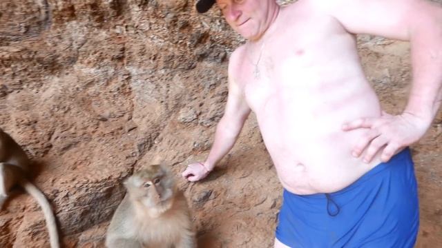 СОРОЧНО!!! НАШЛИ БОЛЬНОГО КРЕОСАН В ТАЙЛАНДЕ - VLOG смотреть онлайн
