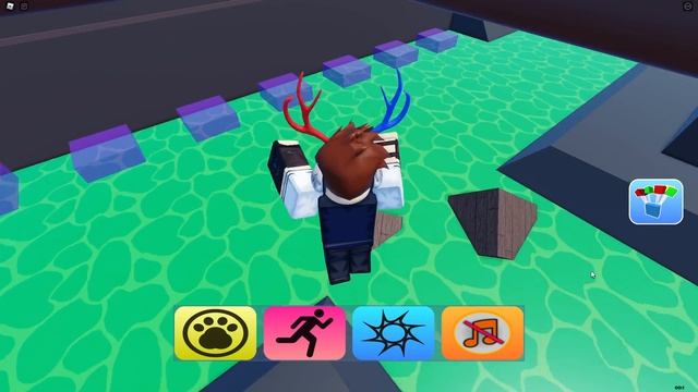 How to get the RACCOON BADGE in FIND THE ANIMALS | Roblox смотреть онлайн