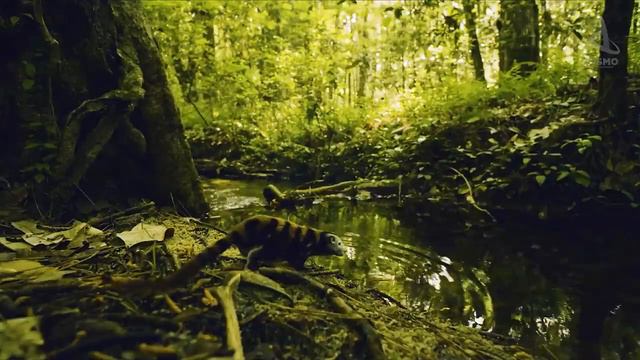 Самые шокирующие гипотезы. 2022г Путешествие к началу времен ) Глобальные вымирания. Качество 4к смотреть онлайн