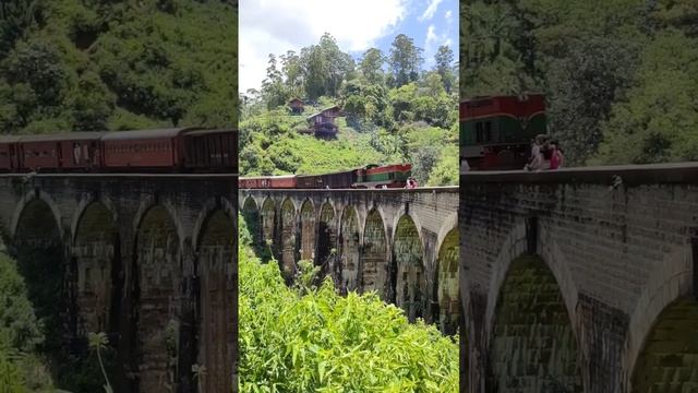 тот самый 9-ти арочный мост в ШриЛанке. #логинов #путешествия #вокругсвета #релокация #шриланка смотреть онлайн