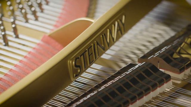 The Vienna Synchron Concert D-274 смотреть онлайн