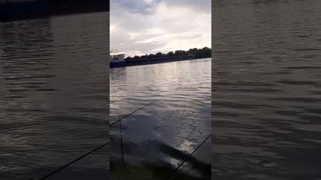 разворот судна на реке Дон смотреть онлайн
