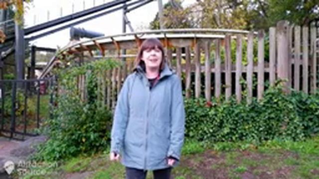 Enjoying the final day of NEMESIS at Alton Towers - John Wardley interview, fireworks finale & more смотреть онлайн