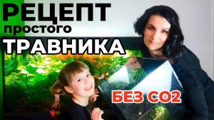 Рецепт простого в содержании аквариума без подачи СО2. Питание растений