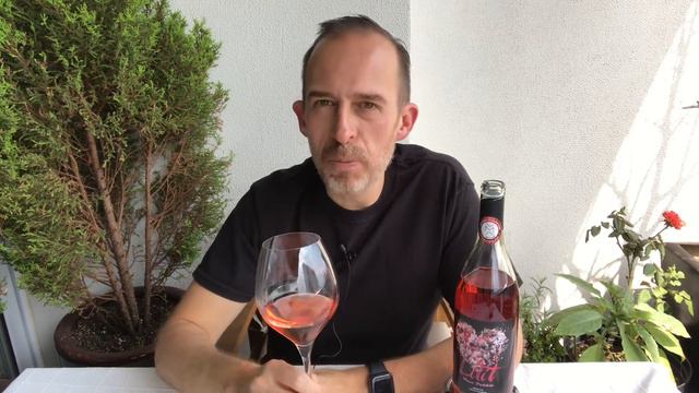 Cata vino rosado mexicano Lilit смотреть онлайн
