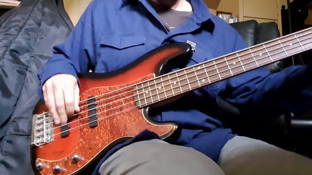 Squier Standard Series Precision Bass V 5 string смотреть онлайн