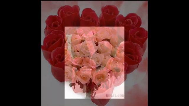 Beautiful Flowers Slideshow смотреть онлайн