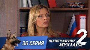 «Возвращение Мухтара — 2». 36 серия. «Оранжевый Маврикий»