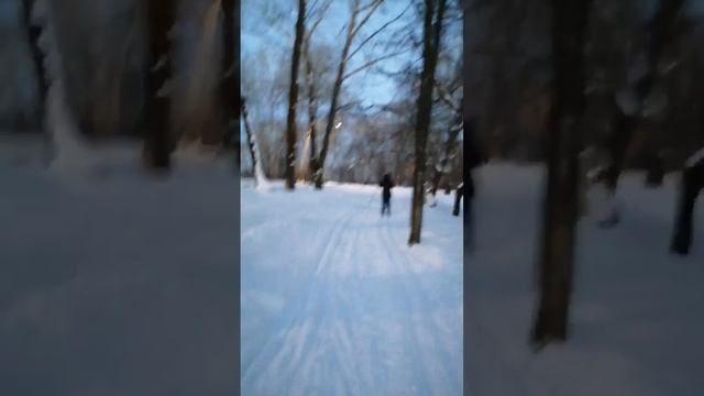 В лес на лыжи⛷⛷⛷Катаемся с горки
