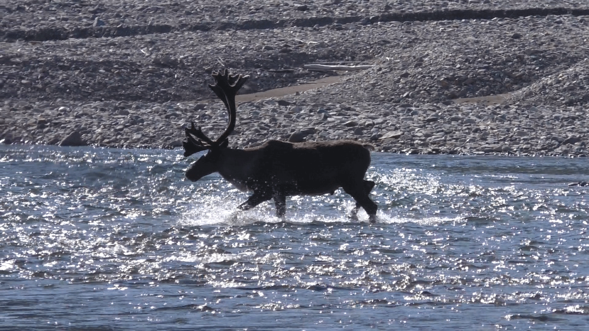 Улья золотая 1-я часть смотреть онлайн