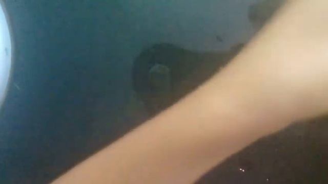 Как сделать из шарикого пластилина слайм/как размягчить шариковый пластилин смотреть онлайн