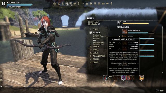 ESO Nightblade Stamina Assassin Build Dual Wield and Bow смотреть онлайн
