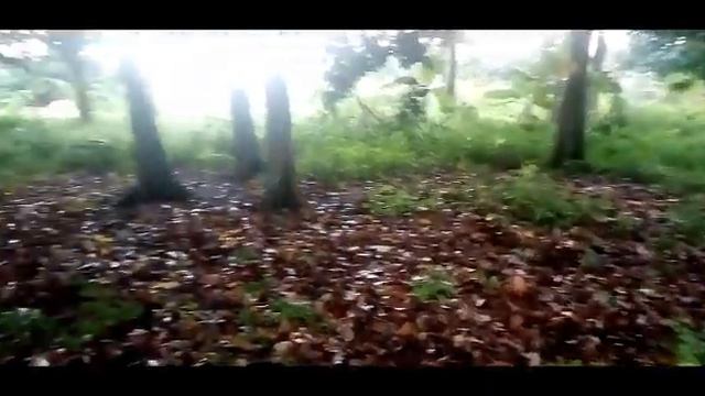 Lahan 1200/M2 Tajurhalang