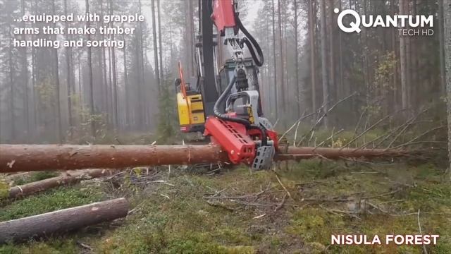 Extreme Tree Cutting Skills With Chainsaw And Heavy Logging Equipment смотреть онлайн