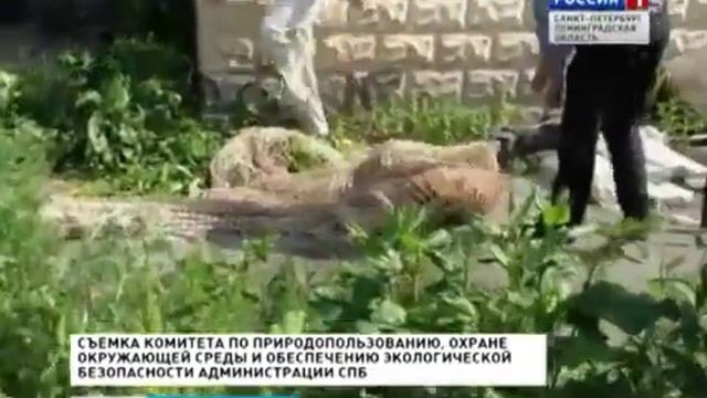 Комитет по природопользованию Санкт-Петербура совместно с Центром "Велес" смотреть онлайн