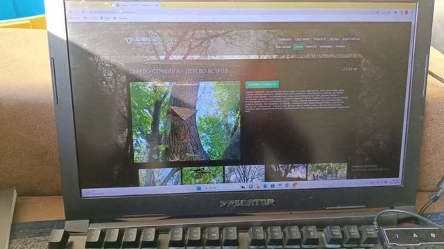 Юлианна Колдовко отзыв от В., слова благодарности! смотреть онлайн