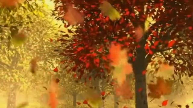 Моя милая свекровь!.wmv смотреть онлайн