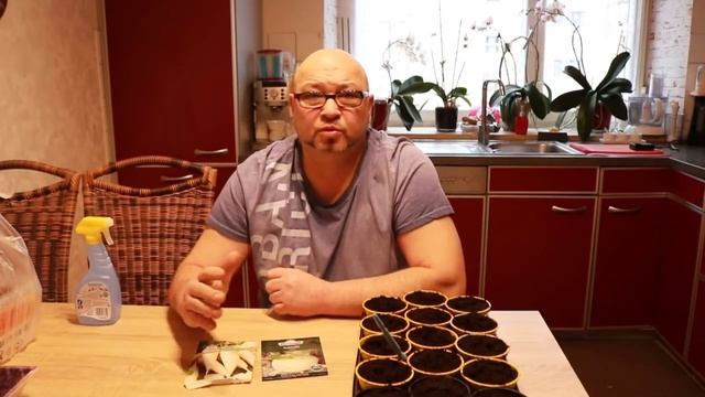 Рассада.Время кольраби.Огород Баварский. смотреть онлайн