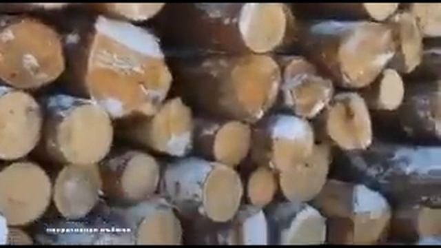 черные лесорубы в Черемхово смотреть онлайн