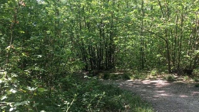 Пасхa . Приметы, традиции, обычаи, обряды и ритуалы смотреть онлайн