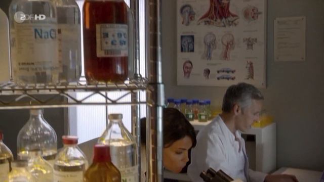 Roland Kieber in Notruf Hafenkante смотреть онлайн