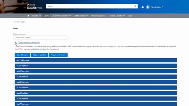 Customer Portal - Delegated Admin and User Access Overview смотреть онлайн