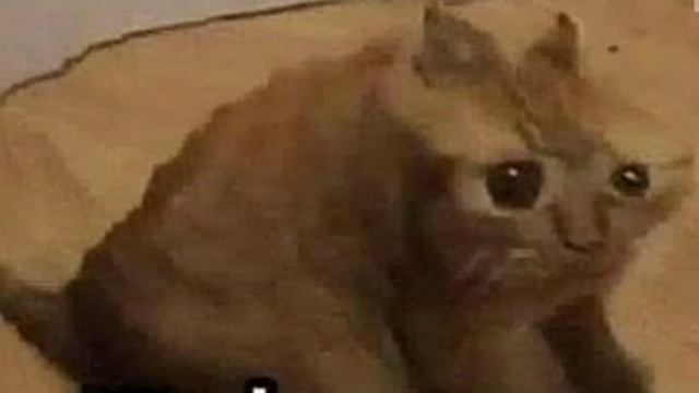 Oh no cringe смотреть онлайн