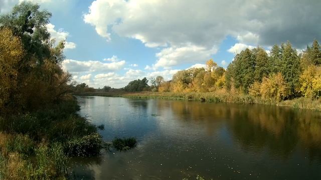Осень за городом | Прогулка на природе смотреть онлайн