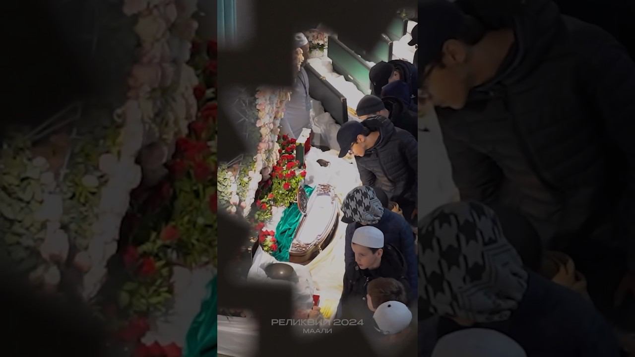 Реликвии Пророка ﷺ в Маали 2024г. #prodinmedia #продинмедиа #реликвии смотреть онлайн