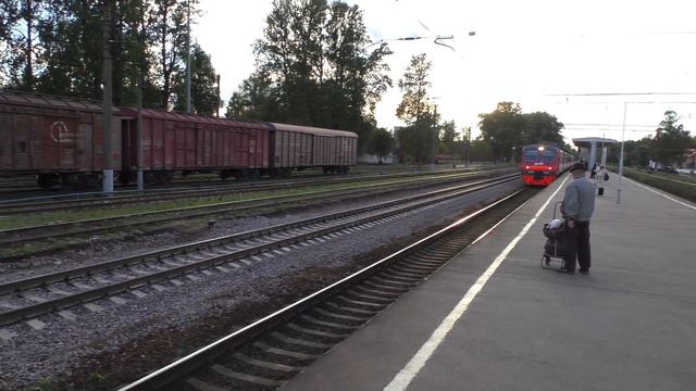 Кушелевка. Скоростной электропоезд ЭД4М-392. смотреть онлайн