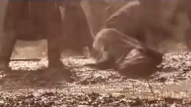 Товарищ - значение слова смотреть онлайн