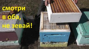 поставил первый магазин