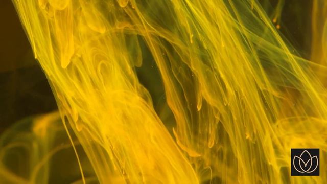 PALO SANTO CLEANSING| HEALING MUSIC 2023|RELAXING & HEALING|CLEAR NEGATIVE ENERGY😎✨30MINS смотреть онлайн