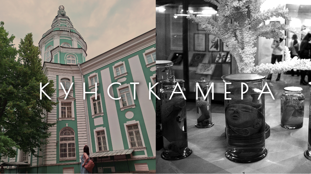 Тайны Кунсткамеры: погрузись в атмосферу музея.