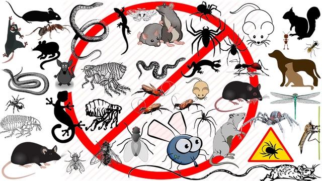 Anti Insects Frequency [Ultrasonic Pest Control] To Remove All Kinds Of Insects смотреть онлайн