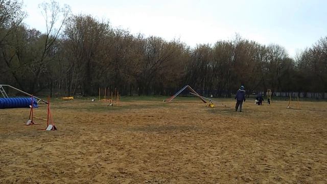 Весенний кубок Подмосковья, 01-05-2013. Робин А0, 1 место смотреть онлайн