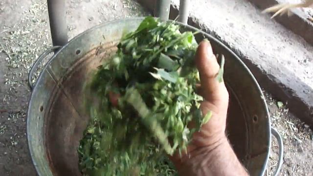 Измельчитель кукурузы,травы и корнеплодов. смотреть онлайн