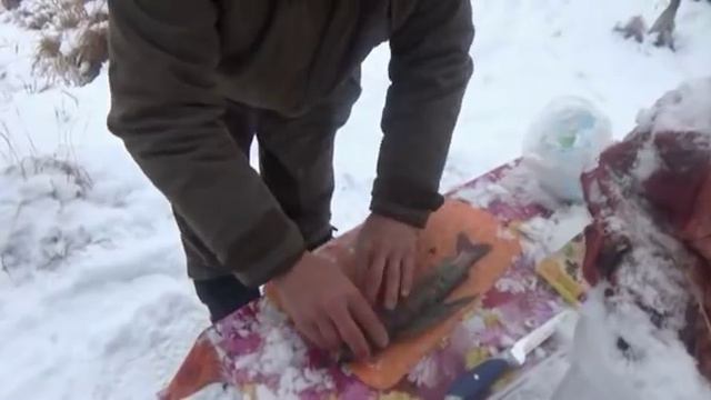 Охота на лося с собаками. Магадан смотреть онлайн