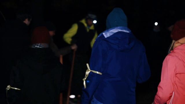 Квест в лесу Ночь Темна смотреть онлайн