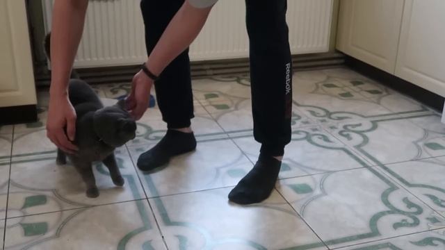 VLOG Самый вкусный суп от Кости, Не знаю как мы с ним расстанемся