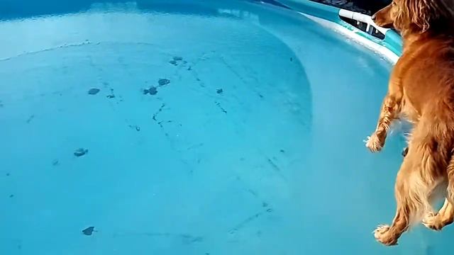 Климат Сибири 20 апреля... смотреть онлайн