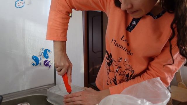 ВЛОГ: Сажаю рассаду в первый раз в жизни! 18.02.21