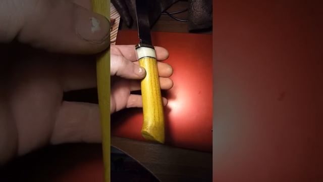 Дерево шелковица смотреть онлайн