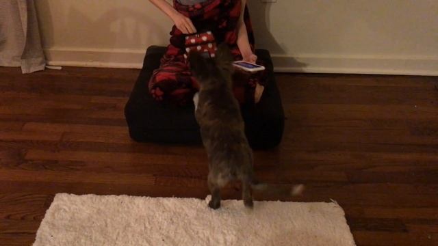 FE115: Noise Game смотреть онлайн