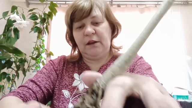 продолжаю спасать папайю смотреть онлайн