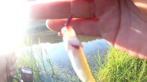 Микро-бомбарда. ловля карася.