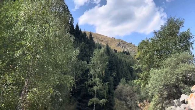 Ущелье Алма - Арасан. Шум горной реки. Kazakhstan. Nature. смотреть онлайн