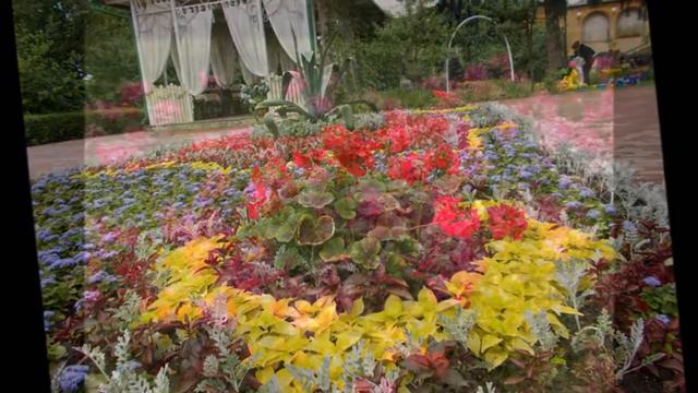 Городские цветы смотреть онлайн