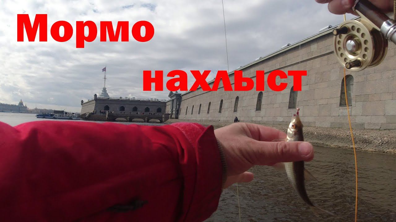 #327 | #Мормонахлыст | уклейка, плотва, окунь | #flyfishing |